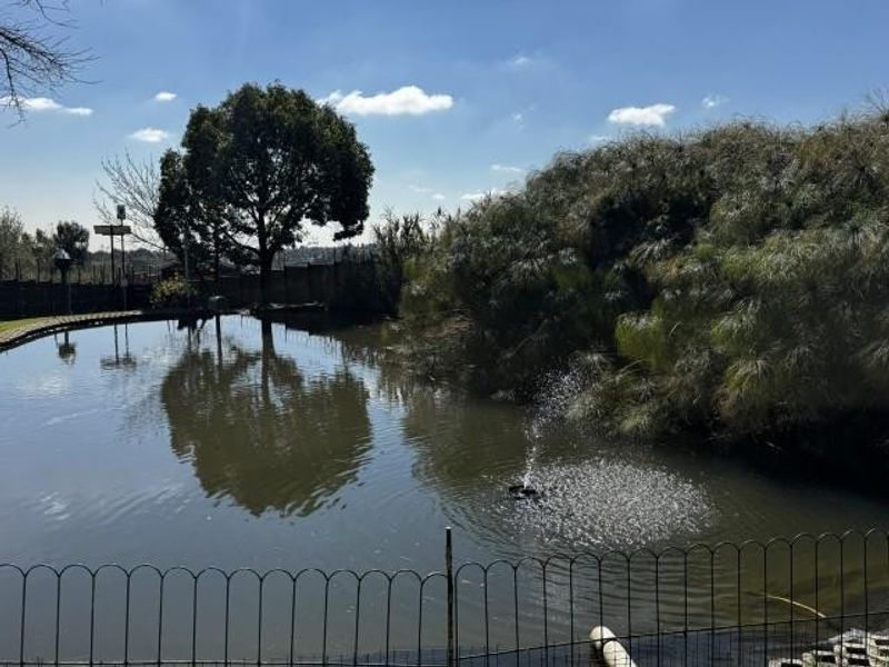 A natural pond or water feature area enclosed by metal fencing, featuring a small fountain and surrounding mature trees and vegetation.