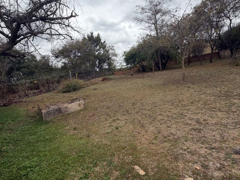 A view of the vacant residential land featuring established trees and perimeter wire fencing on a sloped grass plot.
