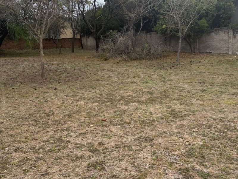 A vacant residential plot featuring mature trees and a perimeter boundary wall, offering a blank canvas for future development.