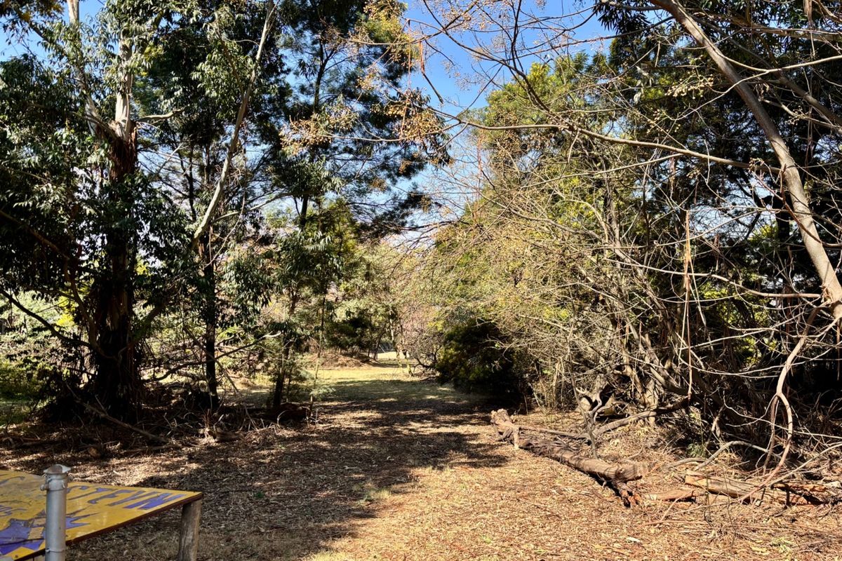 A view of a wooded residential plot featuring mature trees and natural ground cover, offering a private and tranquil setting for potential development.