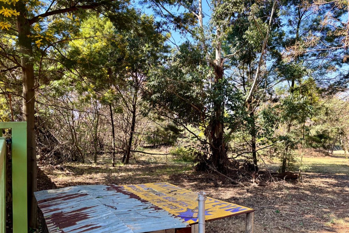 A view of a wooded residential plot featuring mature trees and a small, weathered structure with a rusted corrugated metal roof.