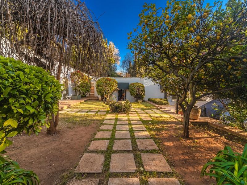 A well-maintained rear garden featuring a stone paver pathway, mature fruit trees, and established landscaping leading toward the building exterior.