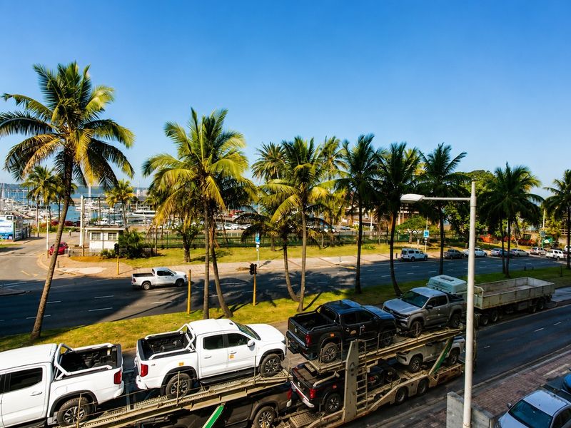 An elevated view overlooking a coastal road, palm trees, and a nearby marina with boats visible in the distance.
