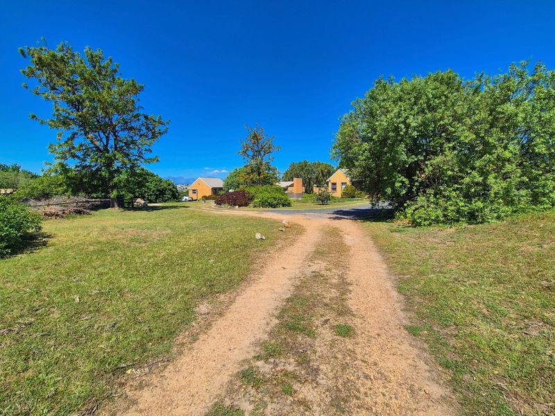A wide-angle view of the property entrance featuring a gravel driveway leading towards the main house structure surrounded by mature trees and lawn.