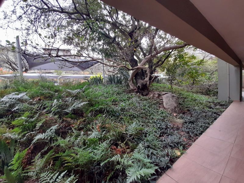 A covered patio area featuring tiled flooring, overlooking a lush, established garden with mature trees and dense ground cover.