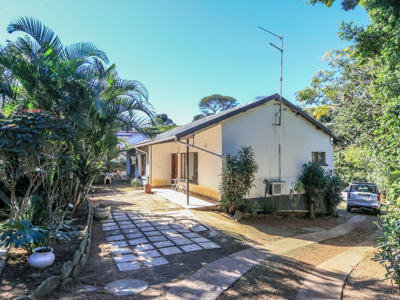 Rear view of the property featuring a paved walkway, established garden surroundings, and a concrete patio area adjacent to the main building structure.