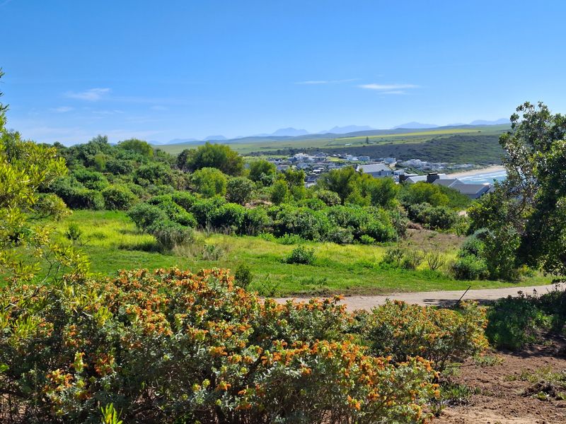 A scenic view overlooking a coastal landscape with indigenous vegetation, rolling hills, and distant residential development near the shoreline.