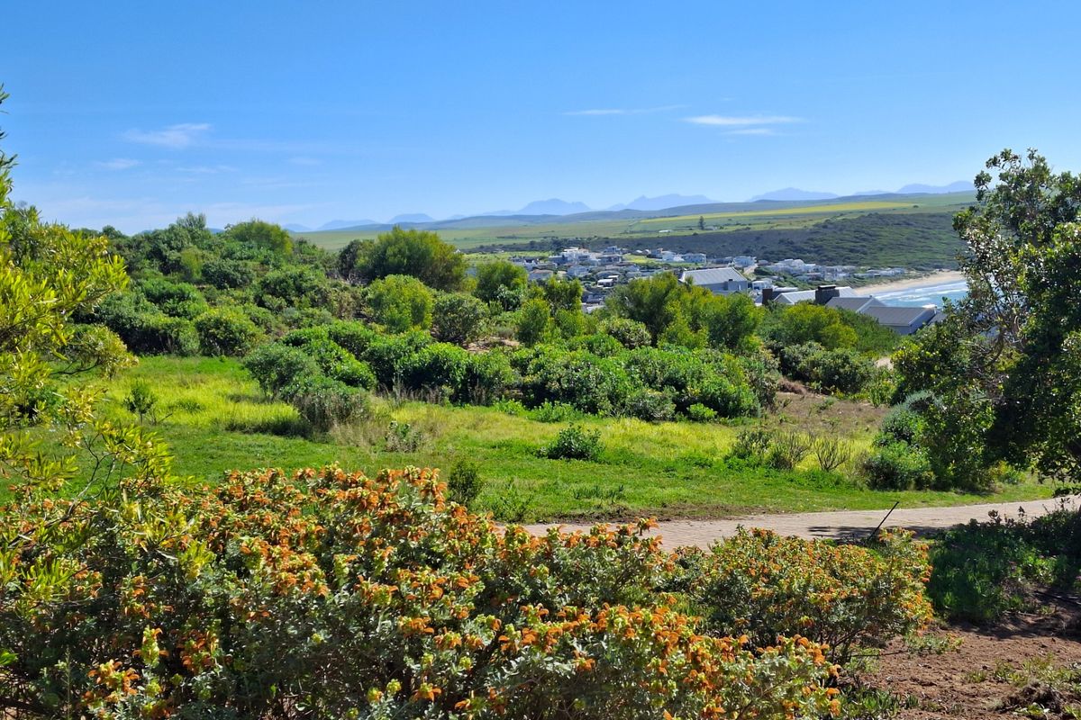 A scenic view overlooking a coastal landscape with indigenous vegetation, rolling hills, and distant residential development near the shoreline.