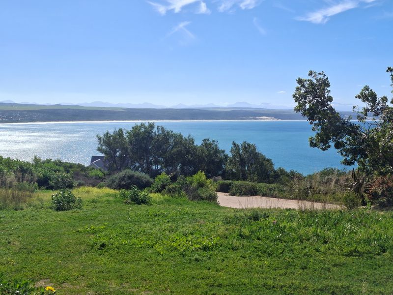 A scenic view overlooking the coastline, featuring natural vegetation and expansive ocean vistas.