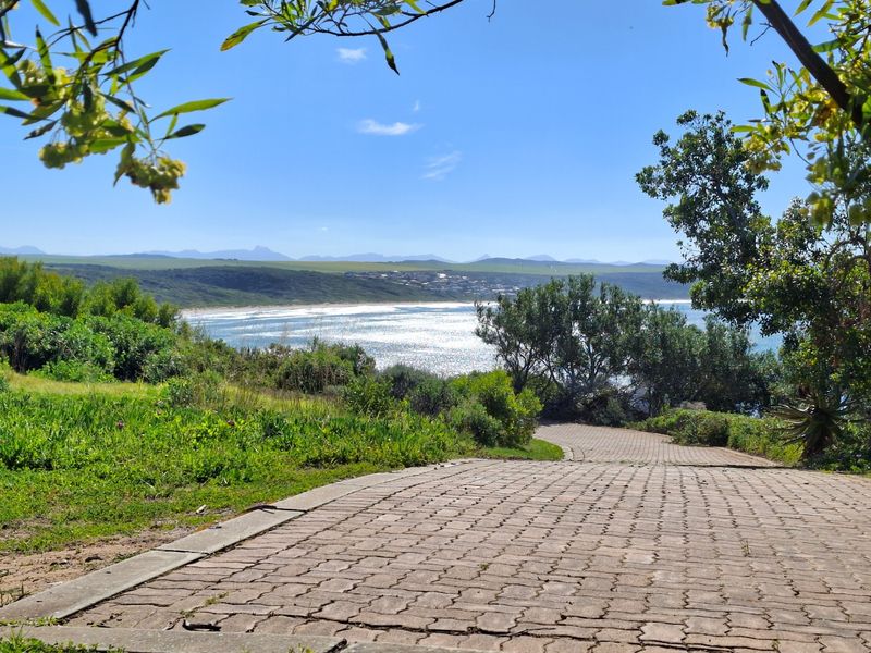 A scenic view of the coastline and ocean from a paved driveway, framed by natural vegetation and trees.