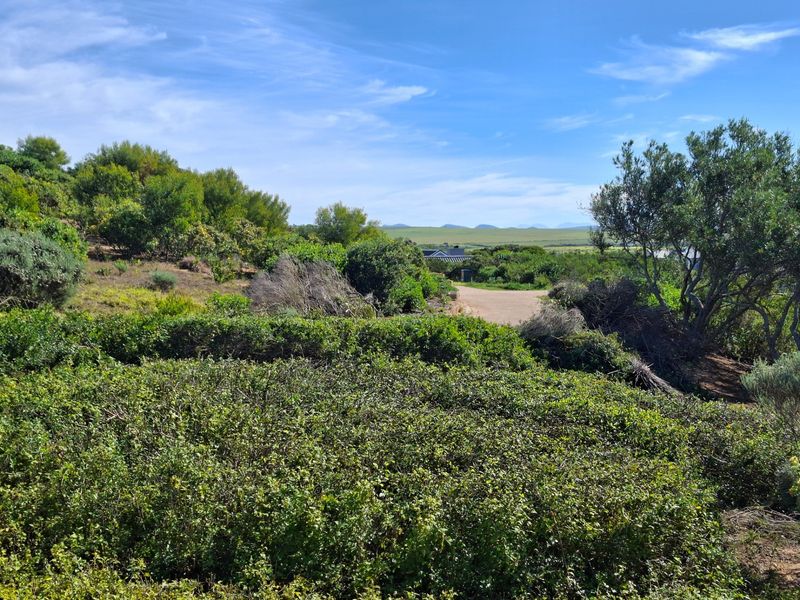 A scenic view of the natural landscape and indigenous vegetation on the vacant residential property.