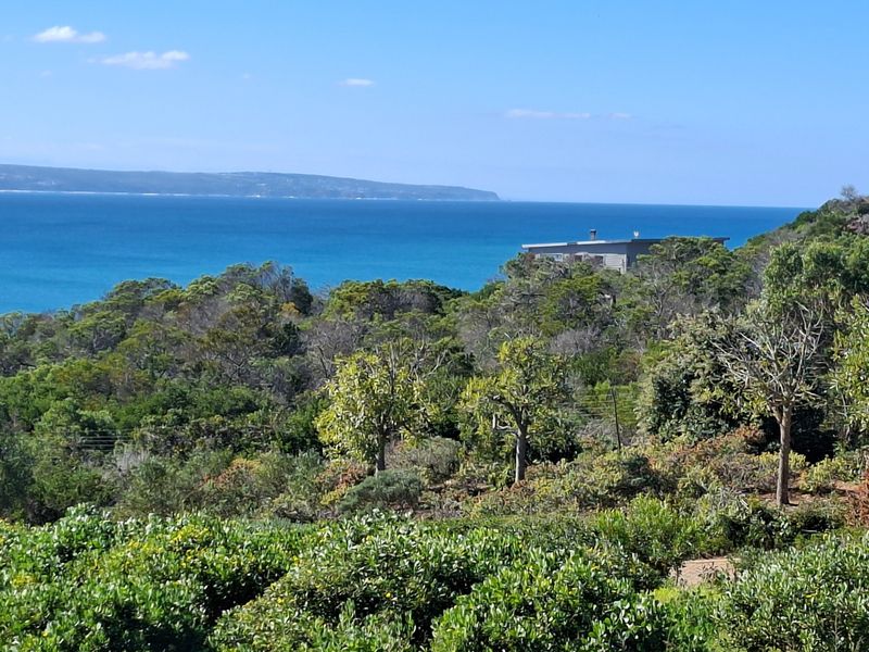 A scenic elevated view overlooking dense coastal vegetation with a clear blue ocean horizon in the background.