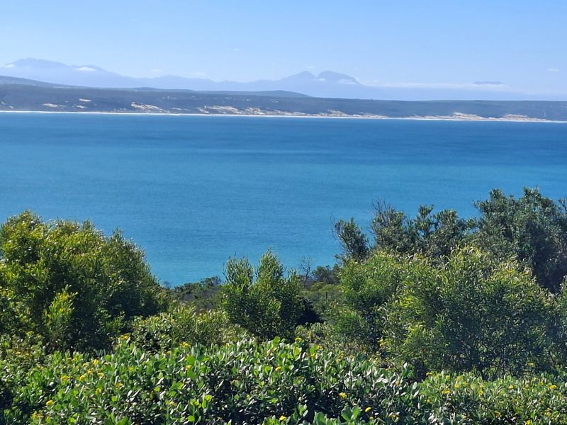 A scenic coastal view overlooking the ocean with distant mountains and natural vegetation in the foreground.