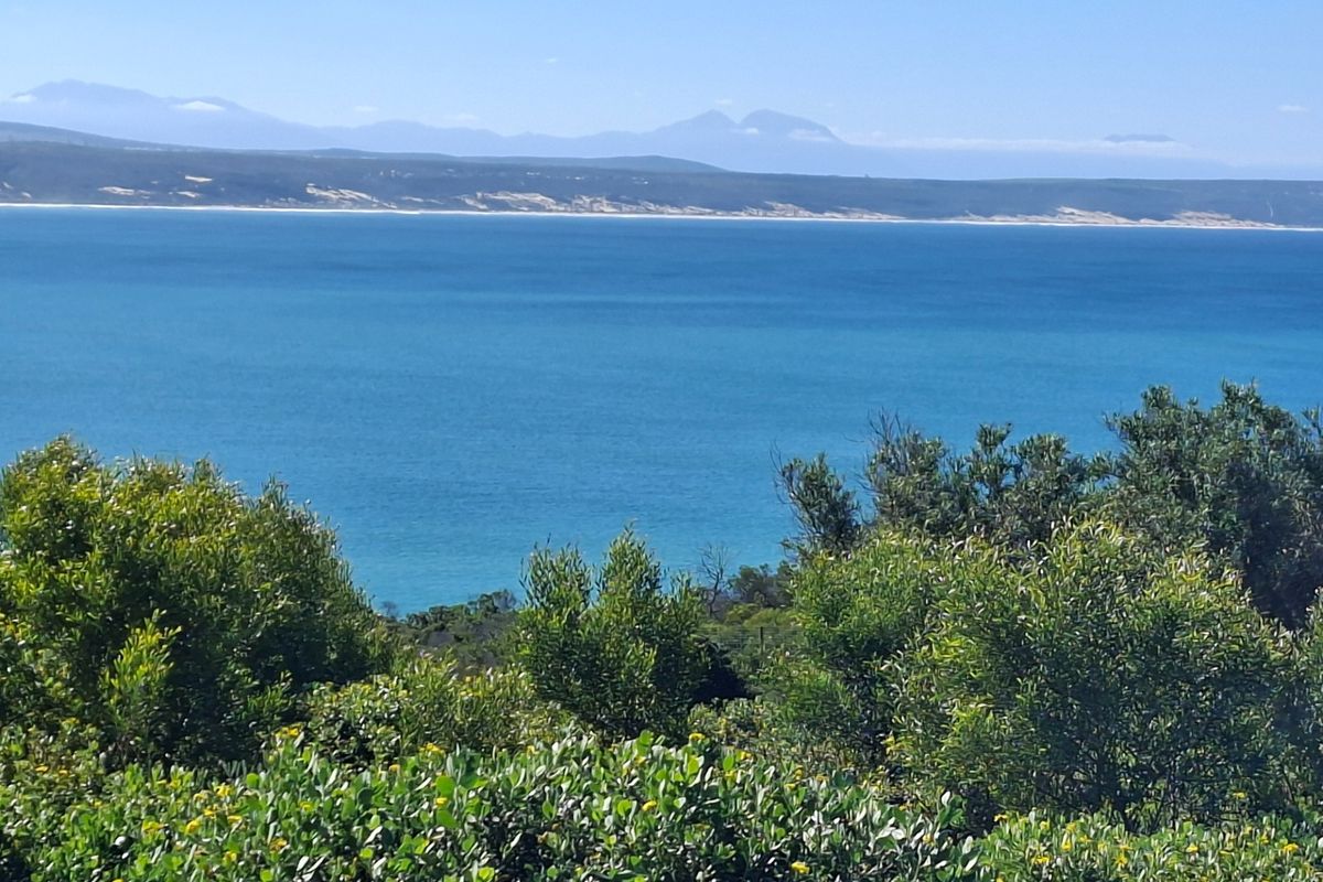 A scenic coastal view overlooking the ocean with distant mountains and natural vegetation in the foreground.