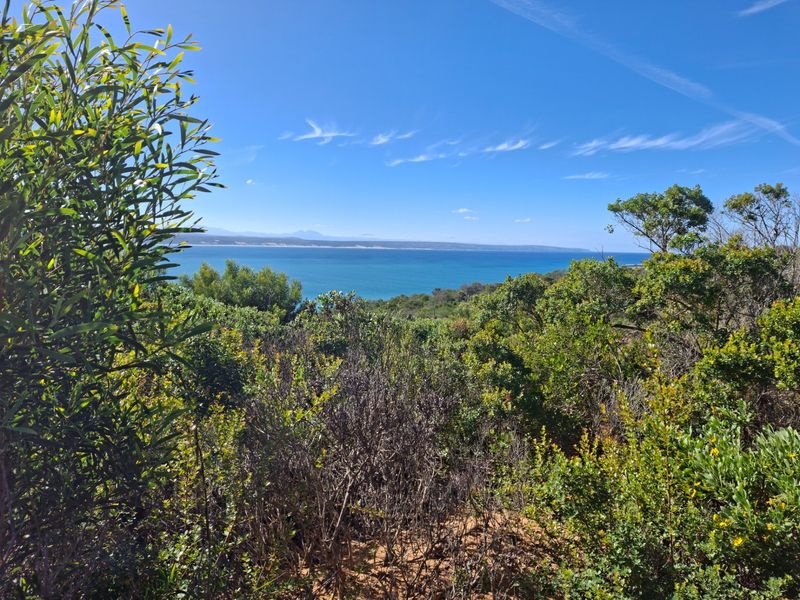 A scenic elevated view overlooking the ocean and surrounding coastal landscape, showcasing the natural beauty of the vacant residential land.