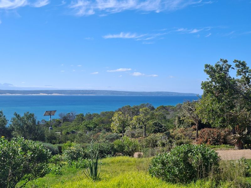 A scenic view overlooking the ocean and surrounding coastal vegetation, showcasing the natural landscape of the vacant residential property.