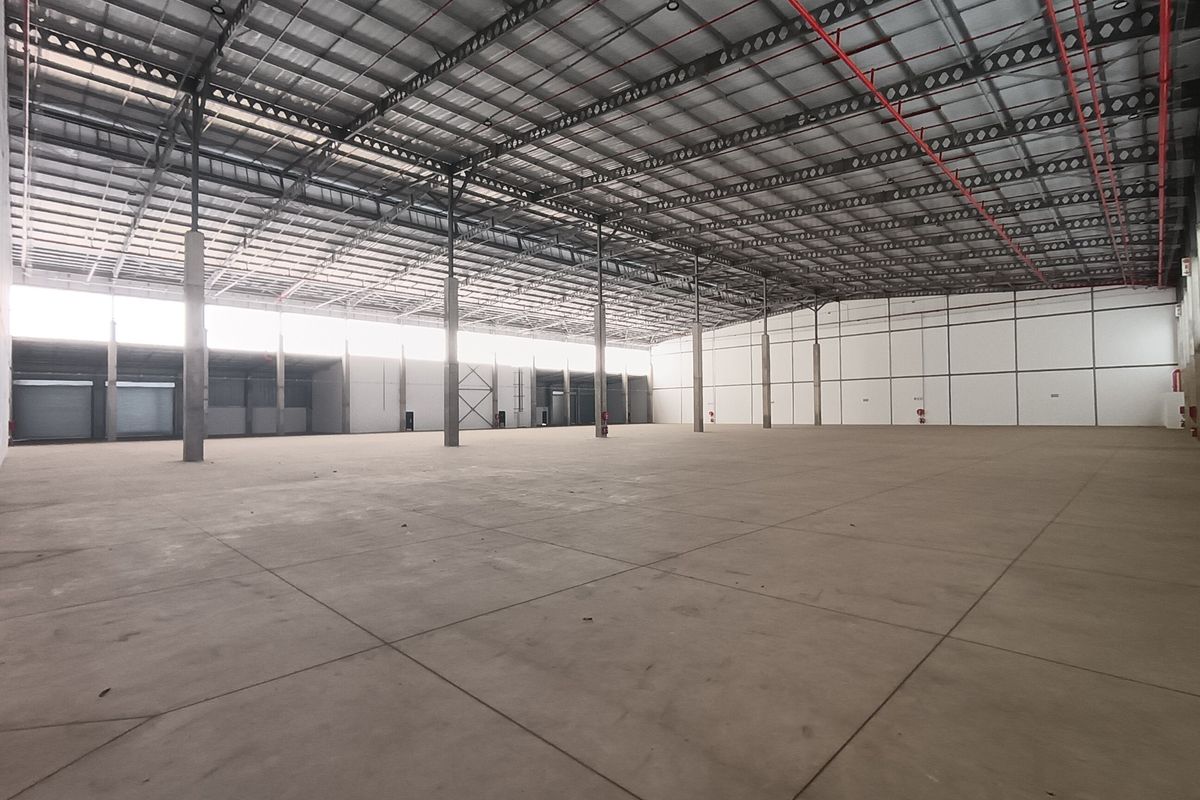 Spacious industrial warehouse featuring high ceilings, concrete flooring, exposed steel structure, and integrated fire sprinkler system, suitable for logistics or manufacturing operations.
