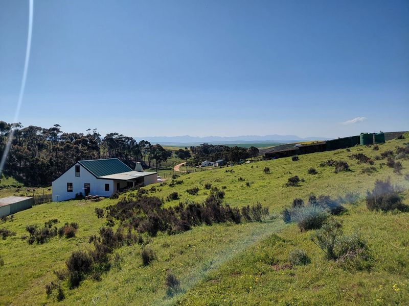 A wide-angle view of the property exterior, featuring a white house with a green metal roof set within a large rural landscape.