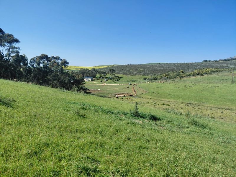 A wide-angle view of the expansive rural landscape, featuring rolling green pastures, natural vegetation, and distant farm structures under a clear blue sky.