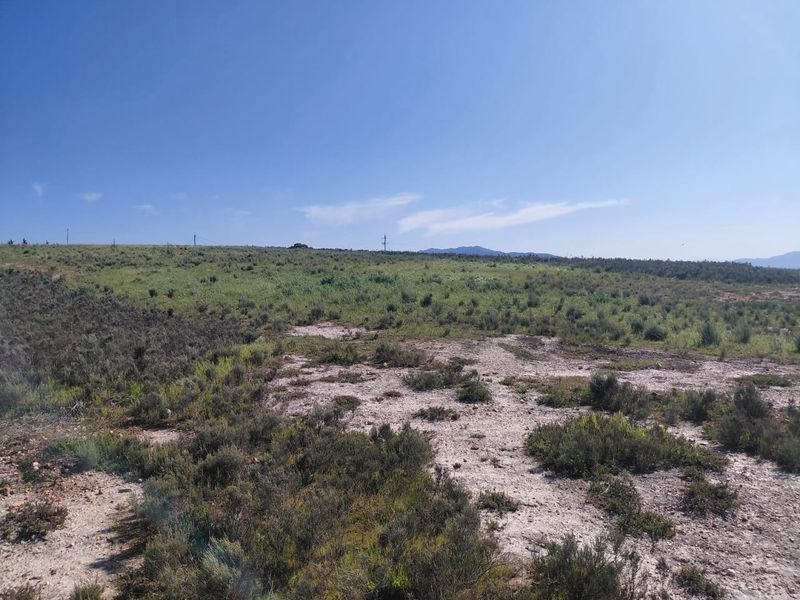 An expansive view of undeveloped natural land with native vegetation and distant mountain horizons under a clear blue sky.