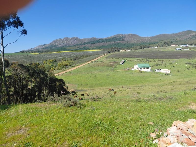 A scenic landscape view featuring rolling green pastures, distant mountains, and a rural property setting.