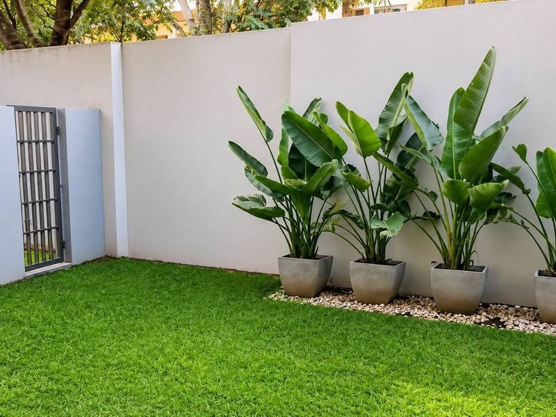 A well-maintained private garden area featuring a manicured lawn, perimeter boundary wall, and a secure metal access gate.