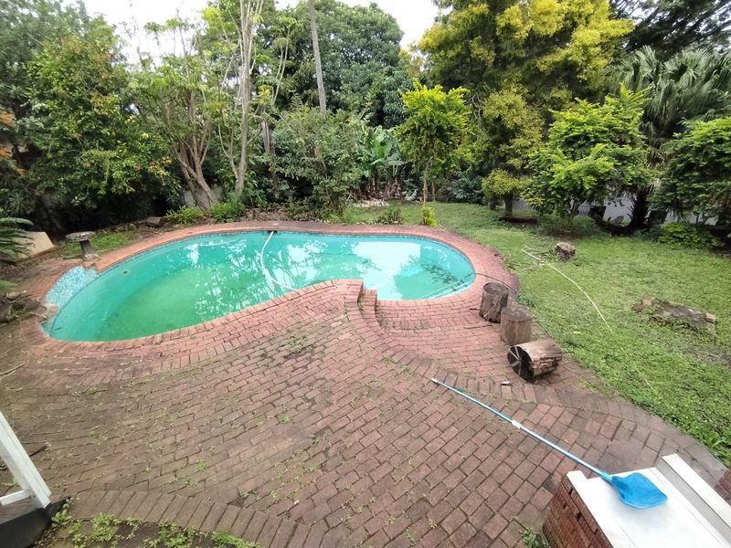 A backyard pool area featuring a kidney-shaped swimming pool surrounded by brick paving and established garden landscaping.