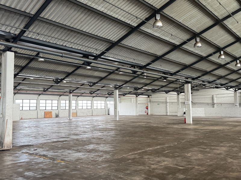 Spacious industrial warehouse featuring high ceilings with exposed steel trusses, concrete flooring, and ample natural light through side windows.