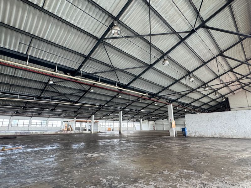 Spacious industrial warehouse featuring high ceilings with exposed steel trusses, concrete flooring, and functional fire sprinkler systems, suitable for storage or manufacturing operations.