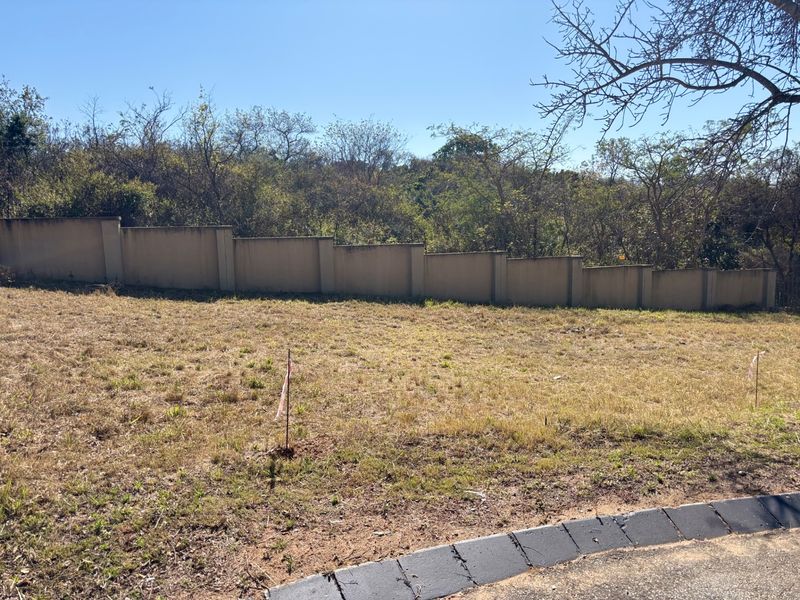 A vacant residential plot featuring a perimeter boundary wall and established vegetation, viewed from the adjacent paved street.