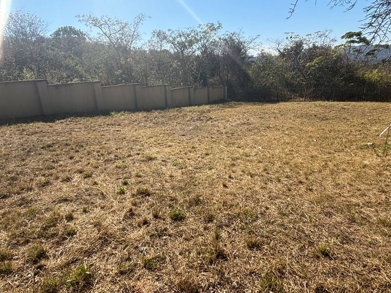 A vacant residential plot featuring a dry grass lawn, enclosed by a perimeter boundary wall and metal fencing with mature trees in the background.