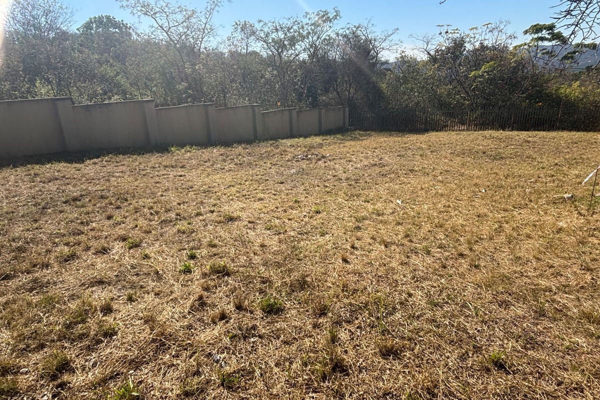 A vacant residential plot featuring a dry grass lawn, enclosed by a perimeter boundary wall and metal fencing with mature trees in the background.