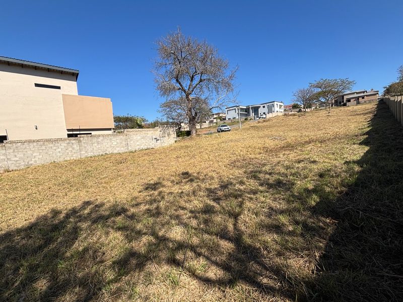 A vacant residential plot featuring a gentle slope, established boundary walls, and mature trees in a developed neighborhood setting.