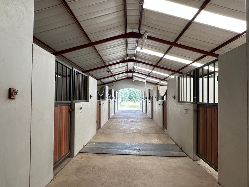 A well-maintained stable block featuring multiple stalls with timber doors, concrete flooring, and a high-pitched roof with integrated skylights for natural lighting.