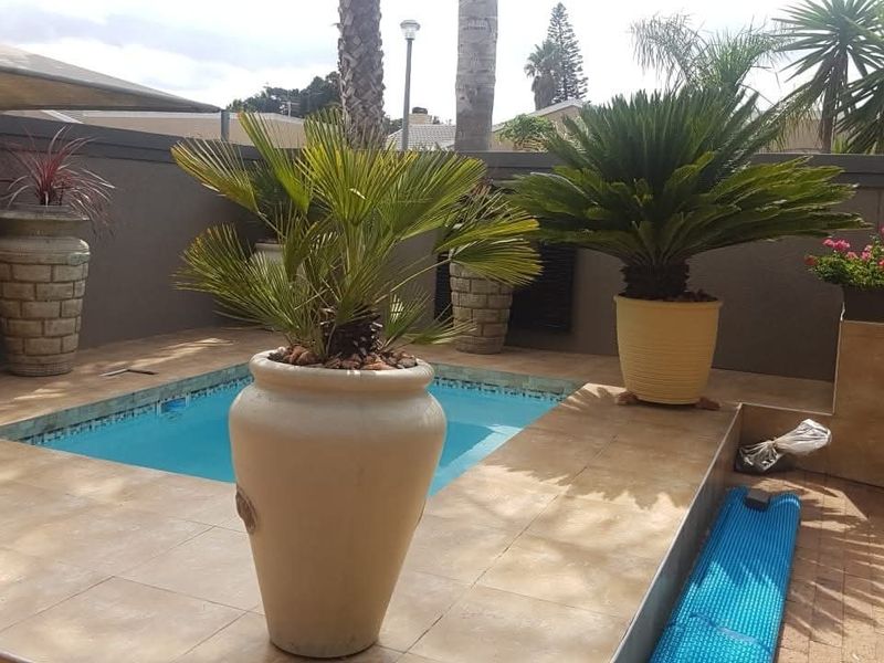 A compact plunge pool area featuring tiled surrounds, boundary walls, and established potted plants, creating a private outdoor retreat.