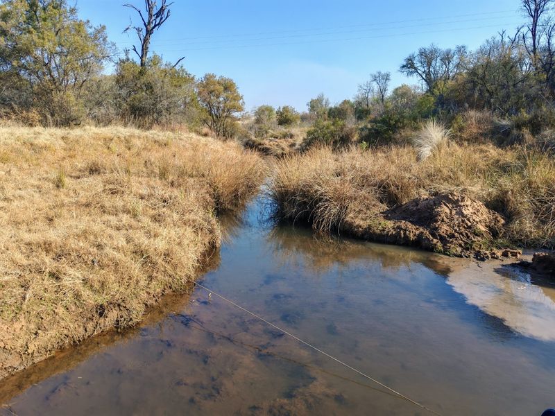 A scenic view of a natural stream flowing through the farm landscape, surrounded by indigenous grasses and trees.