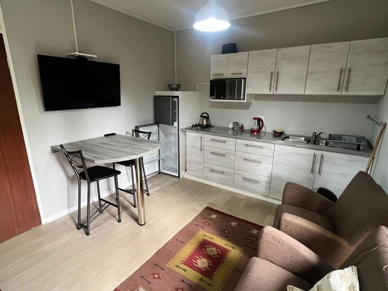 Compact open-plan living area featuring a kitchenette with built-in cabinetry, stainless steel sink, and integrated microwave, finished with light laminate flooring.