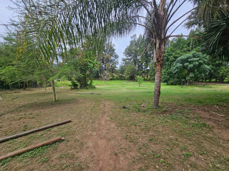 A spacious, natural garden area featuring mature trees and established lawn, offering a peaceful outdoor setting on the small holding.