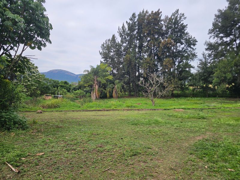 A spacious, natural garden area featuring established trees, a grass lawn, and scenic mountain views in the background.