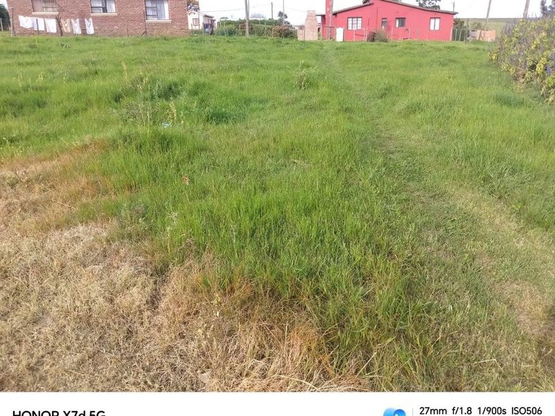 A view of a large, grass-covered vacant residential plot with neighboring structures visible in the background.