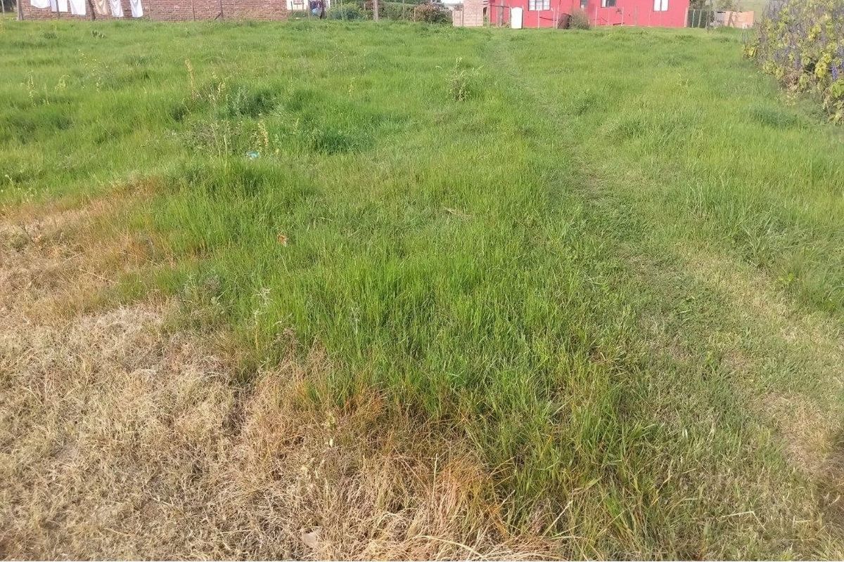 A view of a large, grass-covered vacant residential plot with neighboring structures visible in the background.