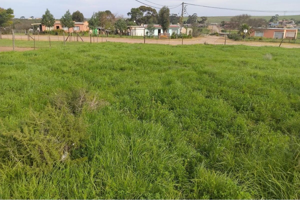 A vacant residential plot of land featuring grass cover, perimeter wire fencing, and access to nearby street infrastructure.
