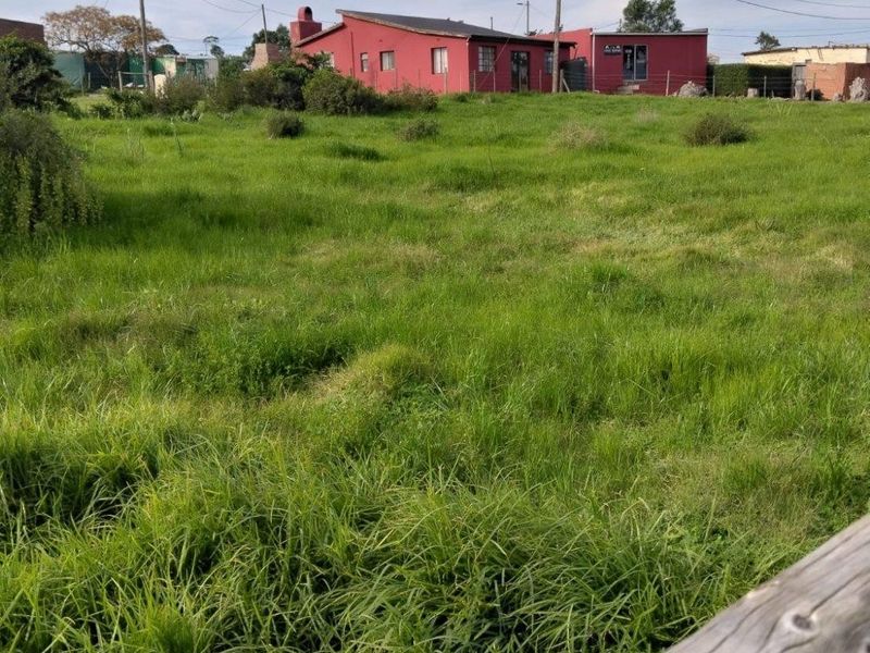 A view of a large, undeveloped residential plot featuring overgrown grass, perimeter fencing, and overhead power lines with a neighboring structure in the background.