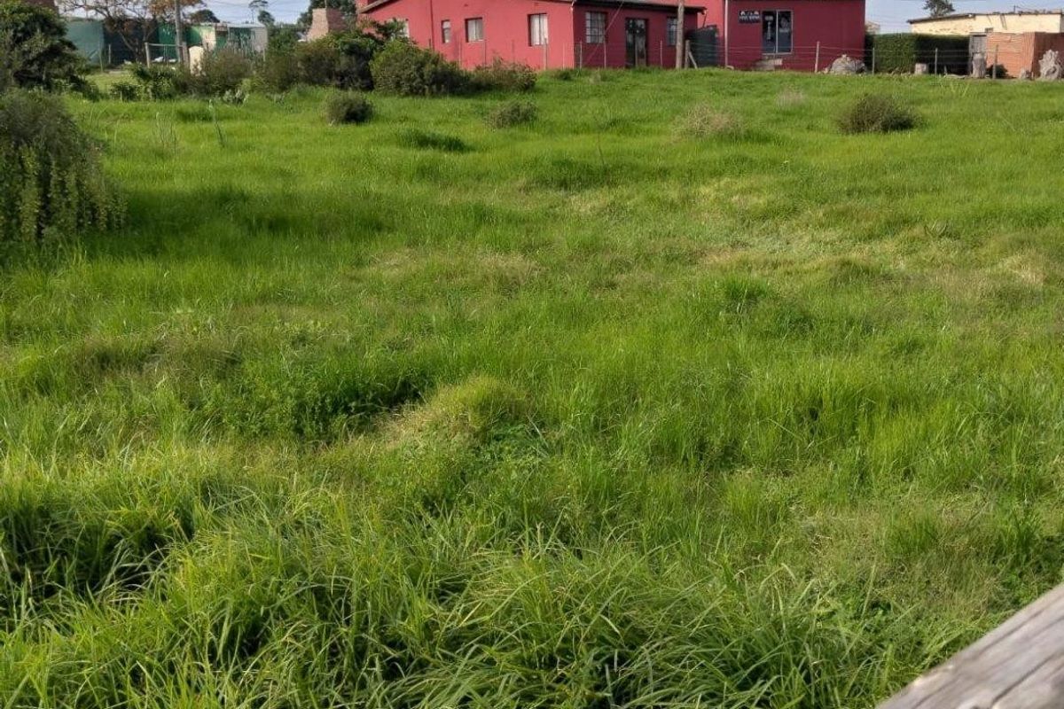 A view of a large, undeveloped residential plot featuring overgrown grass, perimeter fencing, and overhead power lines with a neighboring structure in the background.