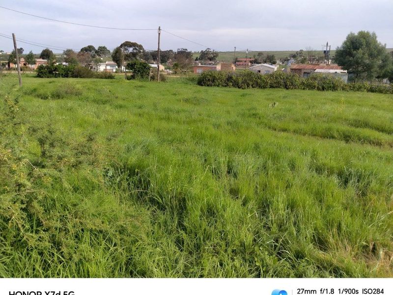 A view of a vacant residential plot featuring overgrown grass and surrounding neighborhood infrastructure.