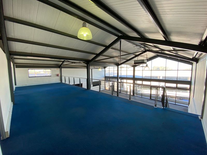Spacious open-plan mezzanine office area featuring exposed steel roof trusses, blue carpeting, and large windows providing ample natural light.