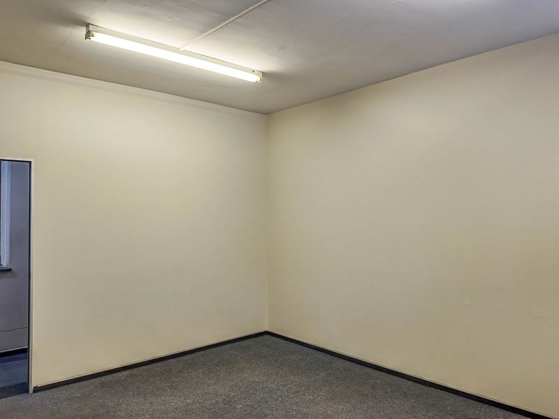 A clean, empty office space featuring neutral walls, carpet flooring, and a functional overhead fluorescent light fixture.