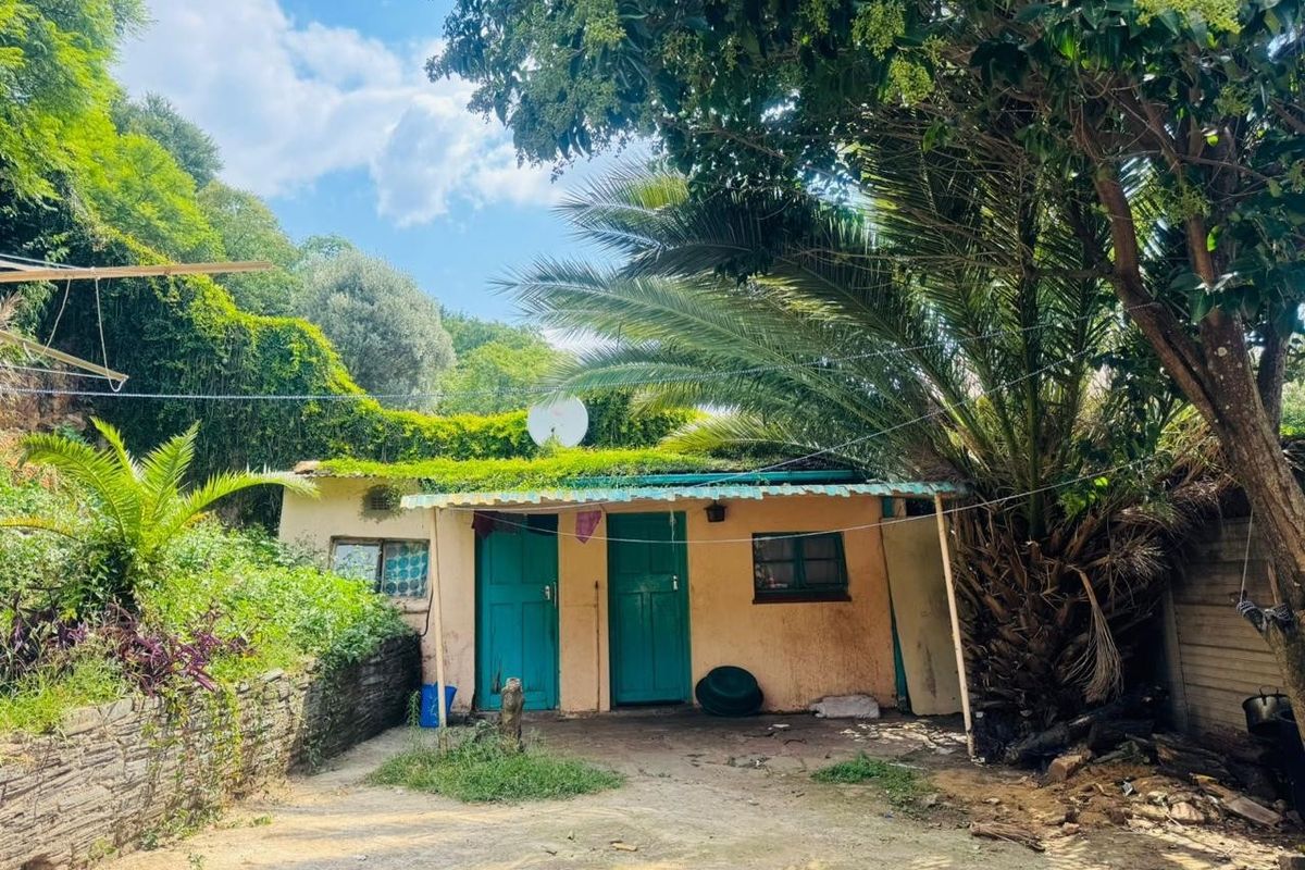 Rear exterior view of a small outbuilding featuring a corrugated roof, dual timber doors, and a stone retaining wall set within a garden area.