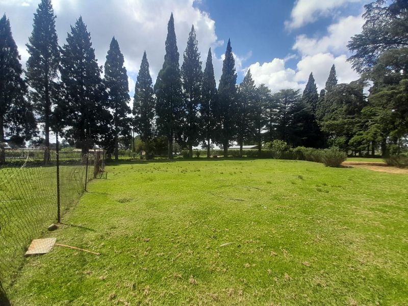 A spacious, open garden area featuring a well-maintained lawn, perimeter wire mesh fencing, and a row of mature cypress trees.