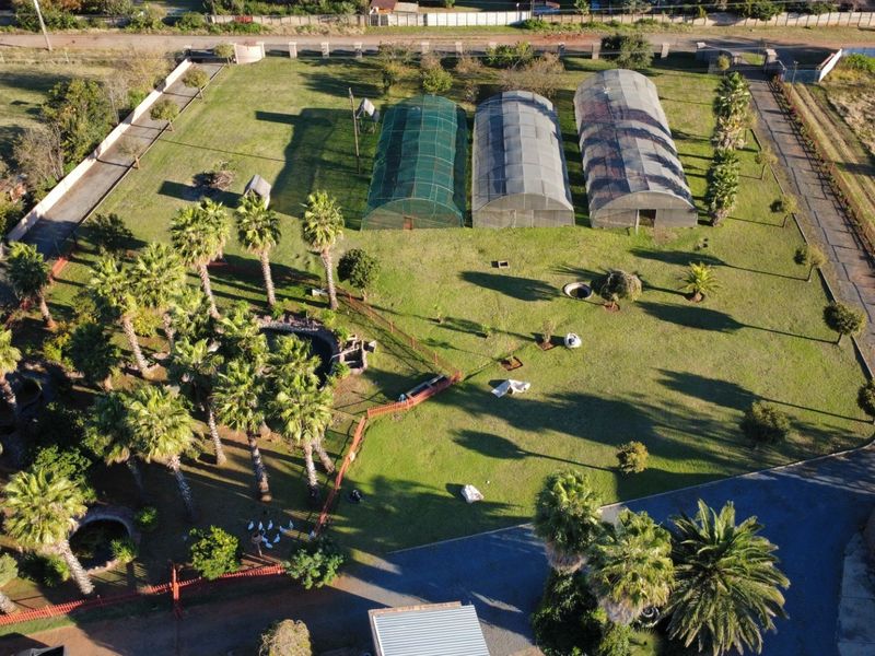 Aerial view of a commercial property featuring multiple greenhouses, extensive landscaped grounds with mature palm trees, and secure perimeter fencing.